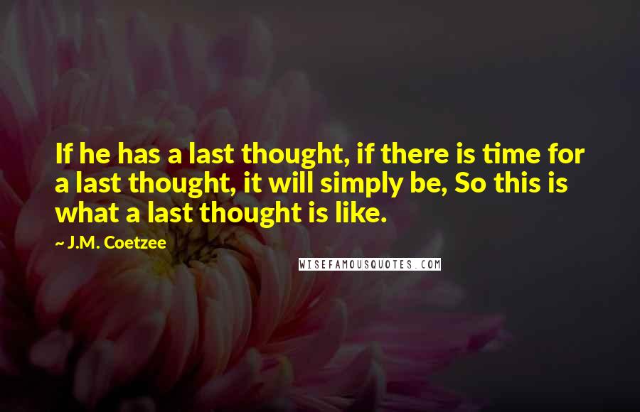 J.M. Coetzee Quotes: If he has a last thought, if there is time for a last thought, it will simply be, So this is what a last thought is like.