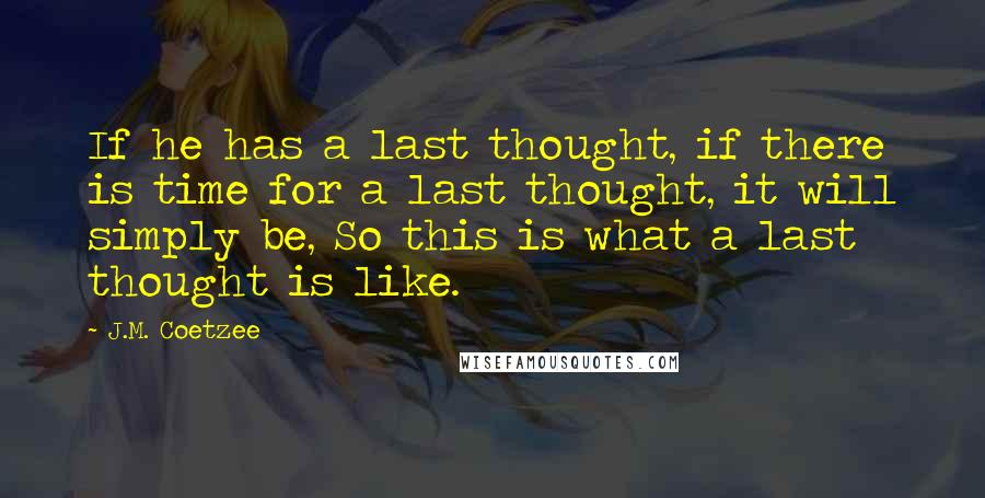 J.M. Coetzee Quotes: If he has a last thought, if there is time for a last thought, it will simply be, So this is what a last thought is like.