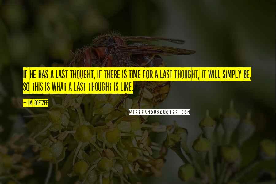 J.M. Coetzee Quotes: If he has a last thought, if there is time for a last thought, it will simply be, So this is what a last thought is like.