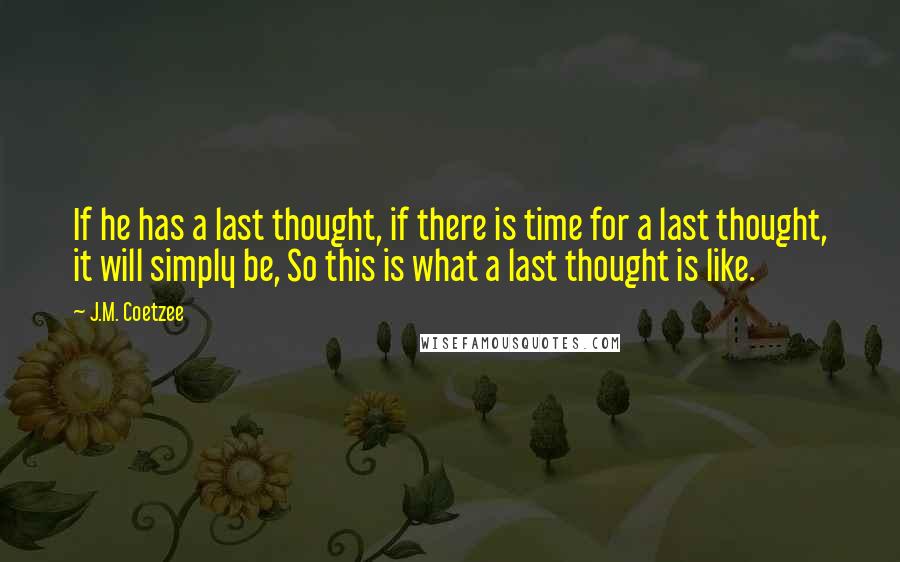 J.M. Coetzee Quotes: If he has a last thought, if there is time for a last thought, it will simply be, So this is what a last thought is like.