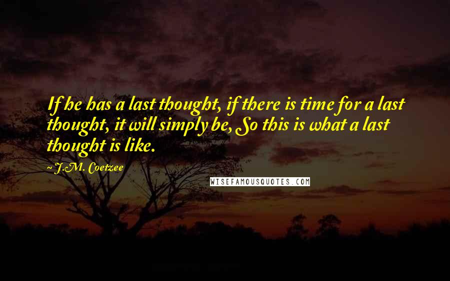 J.M. Coetzee Quotes: If he has a last thought, if there is time for a last thought, it will simply be, So this is what a last thought is like.