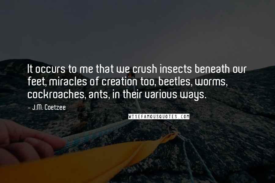 J.M. Coetzee Quotes: It occurs to me that we crush insects beneath our feet, miracles of creation too, beetles, worms, cockroaches, ants, in their various ways.