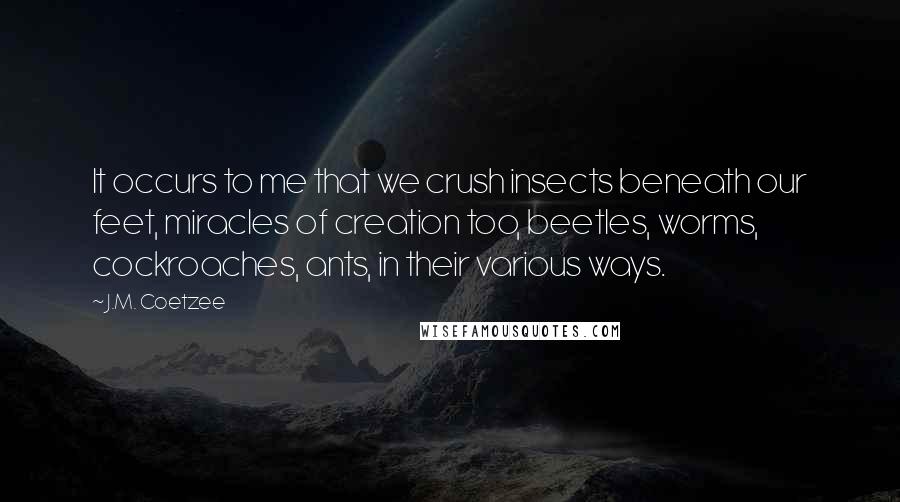 J.M. Coetzee Quotes: It occurs to me that we crush insects beneath our feet, miracles of creation too, beetles, worms, cockroaches, ants, in their various ways.