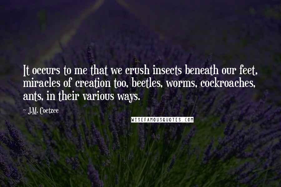 J.M. Coetzee Quotes: It occurs to me that we crush insects beneath our feet, miracles of creation too, beetles, worms, cockroaches, ants, in their various ways.