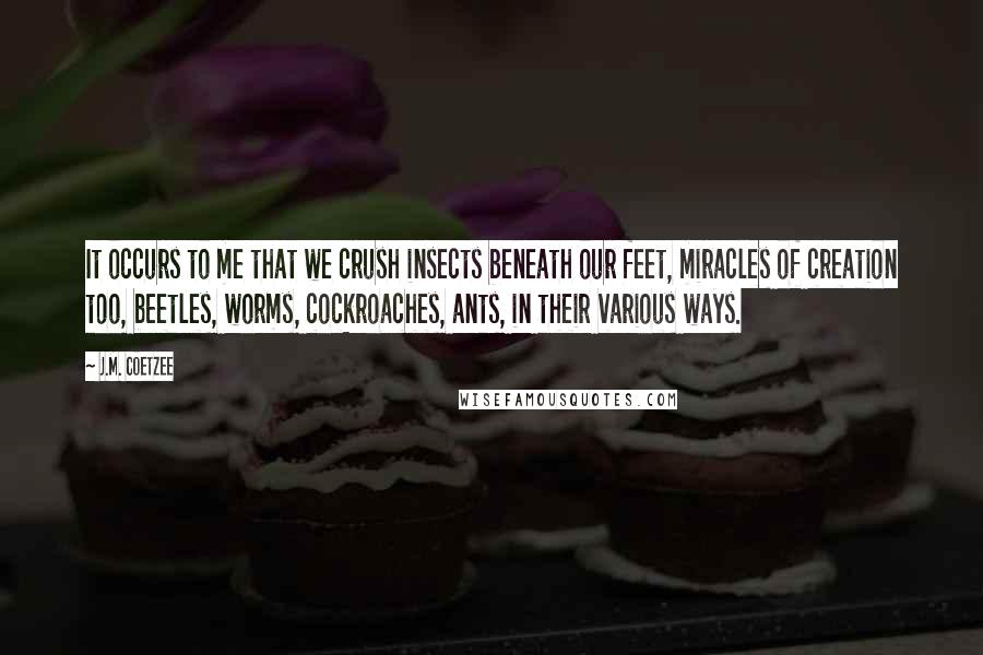 J.M. Coetzee Quotes: It occurs to me that we crush insects beneath our feet, miracles of creation too, beetles, worms, cockroaches, ants, in their various ways.