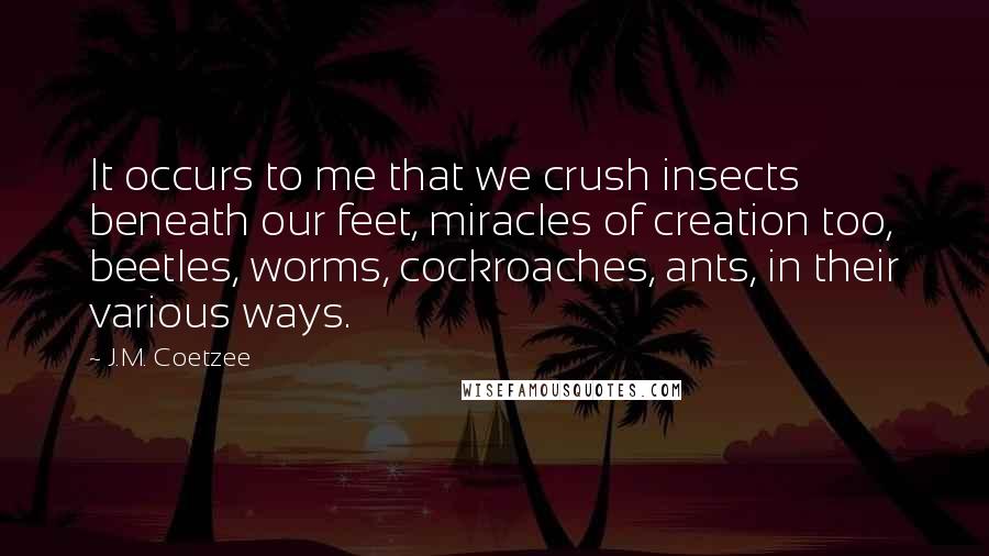 J.M. Coetzee Quotes: It occurs to me that we crush insects beneath our feet, miracles of creation too, beetles, worms, cockroaches, ants, in their various ways.