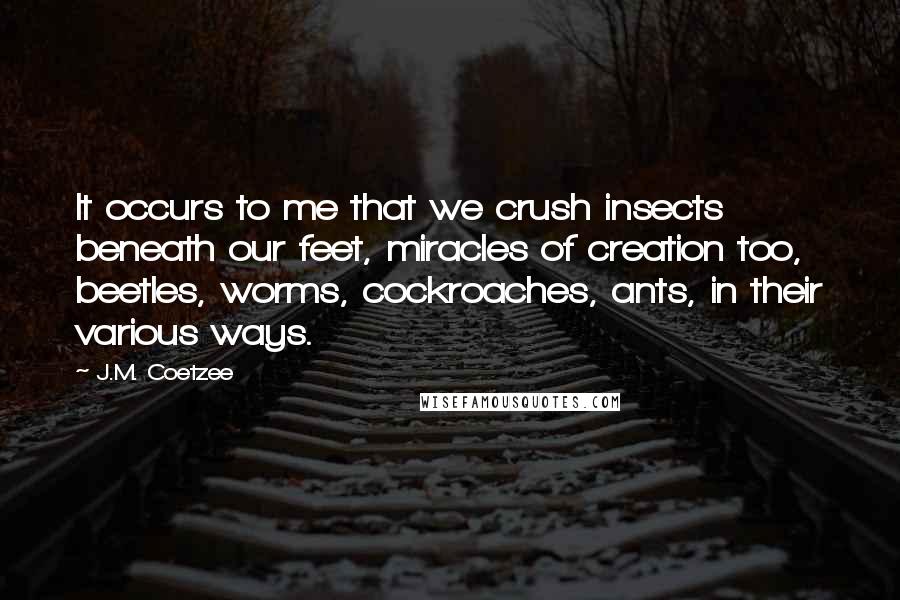 J.M. Coetzee Quotes: It occurs to me that we crush insects beneath our feet, miracles of creation too, beetles, worms, cockroaches, ants, in their various ways.