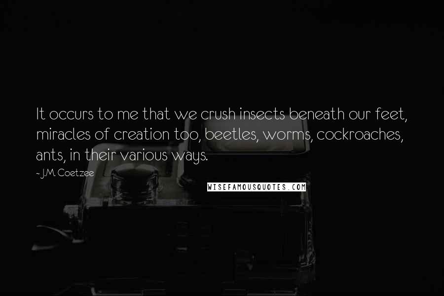 J.M. Coetzee Quotes: It occurs to me that we crush insects beneath our feet, miracles of creation too, beetles, worms, cockroaches, ants, in their various ways.