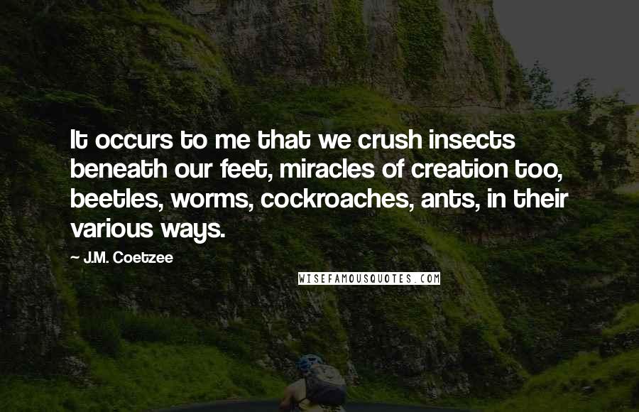 J.M. Coetzee Quotes: It occurs to me that we crush insects beneath our feet, miracles of creation too, beetles, worms, cockroaches, ants, in their various ways.