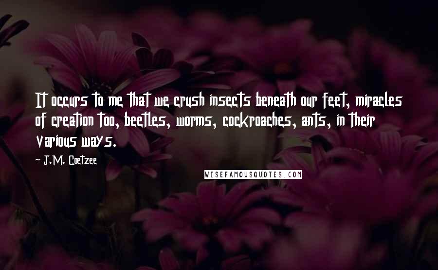 J.M. Coetzee Quotes: It occurs to me that we crush insects beneath our feet, miracles of creation too, beetles, worms, cockroaches, ants, in their various ways.