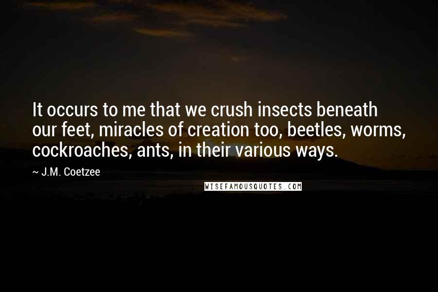 J.M. Coetzee Quotes: It occurs to me that we crush insects beneath our feet, miracles of creation too, beetles, worms, cockroaches, ants, in their various ways.