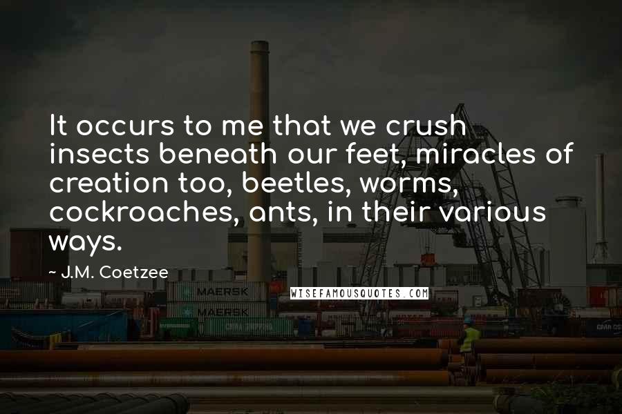 J.M. Coetzee Quotes: It occurs to me that we crush insects beneath our feet, miracles of creation too, beetles, worms, cockroaches, ants, in their various ways.