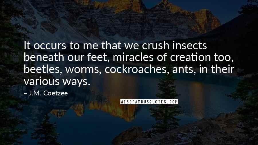 J.M. Coetzee Quotes: It occurs to me that we crush insects beneath our feet, miracles of creation too, beetles, worms, cockroaches, ants, in their various ways.