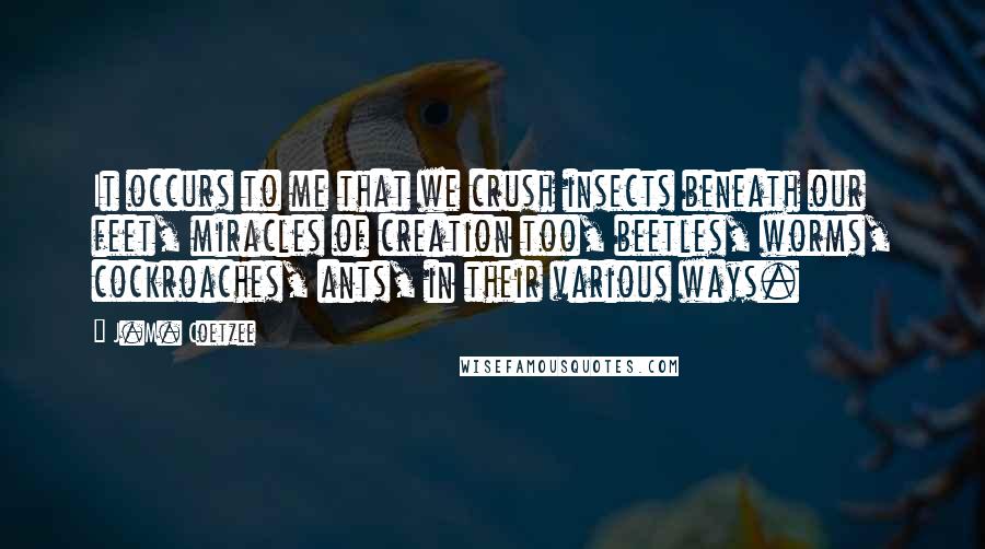 J.M. Coetzee Quotes: It occurs to me that we crush insects beneath our feet, miracles of creation too, beetles, worms, cockroaches, ants, in their various ways.