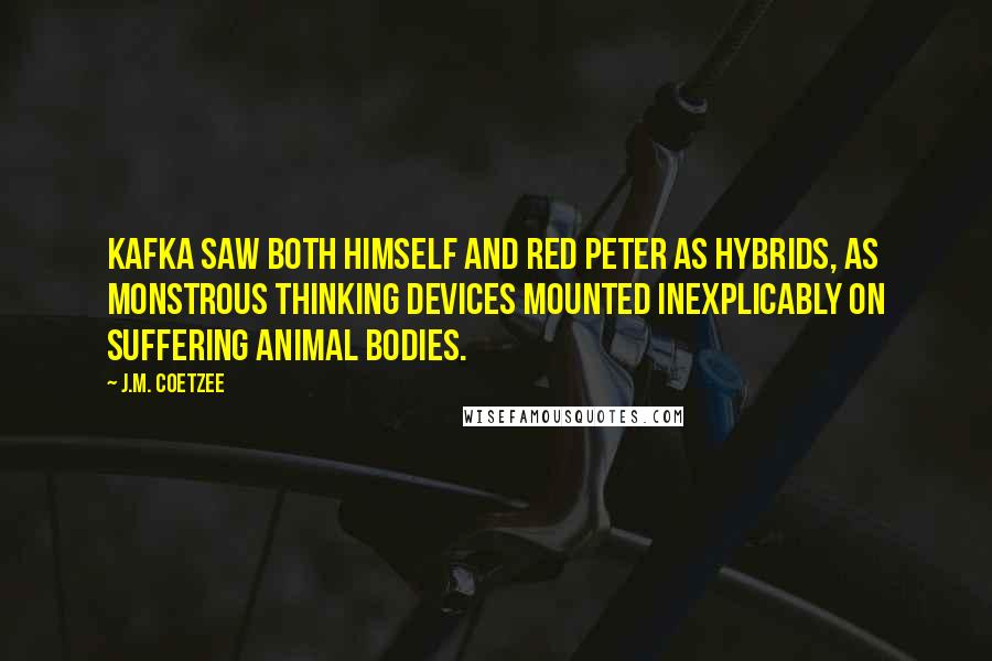 J.M. Coetzee Quotes: Kafka saw both himself and Red Peter as hybrids, as monstrous thinking devices mounted inexplicably on suffering animal bodies.