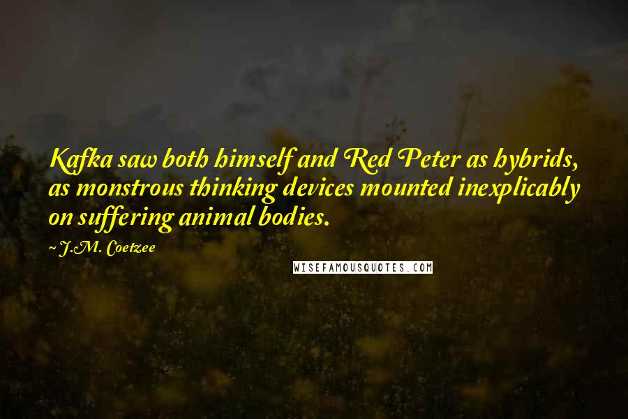 J.M. Coetzee Quotes: Kafka saw both himself and Red Peter as hybrids, as monstrous thinking devices mounted inexplicably on suffering animal bodies.