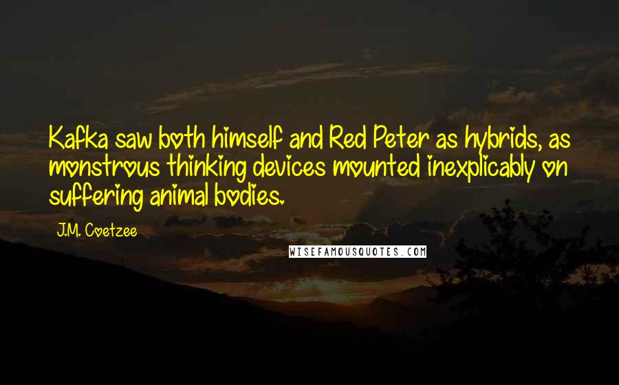 J.M. Coetzee Quotes: Kafka saw both himself and Red Peter as hybrids, as monstrous thinking devices mounted inexplicably on suffering animal bodies.