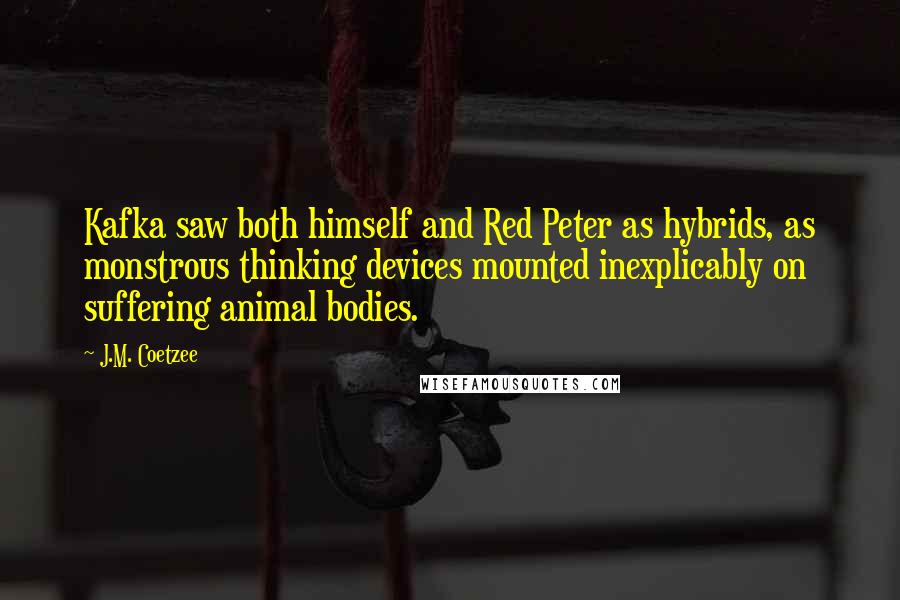J.M. Coetzee Quotes: Kafka saw both himself and Red Peter as hybrids, as monstrous thinking devices mounted inexplicably on suffering animal bodies.