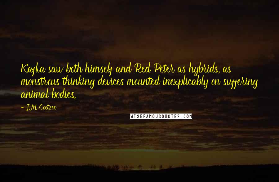 J.M. Coetzee Quotes: Kafka saw both himself and Red Peter as hybrids, as monstrous thinking devices mounted inexplicably on suffering animal bodies.