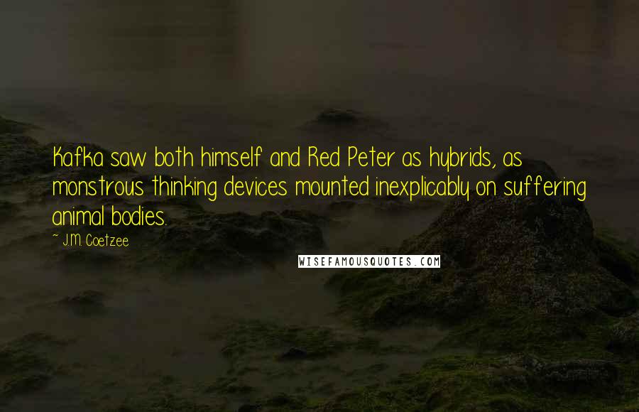 J.M. Coetzee Quotes: Kafka saw both himself and Red Peter as hybrids, as monstrous thinking devices mounted inexplicably on suffering animal bodies.