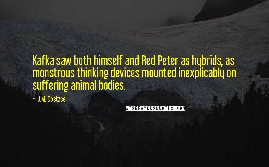 J.M. Coetzee Quotes: Kafka saw both himself and Red Peter as hybrids, as monstrous thinking devices mounted inexplicably on suffering animal bodies.