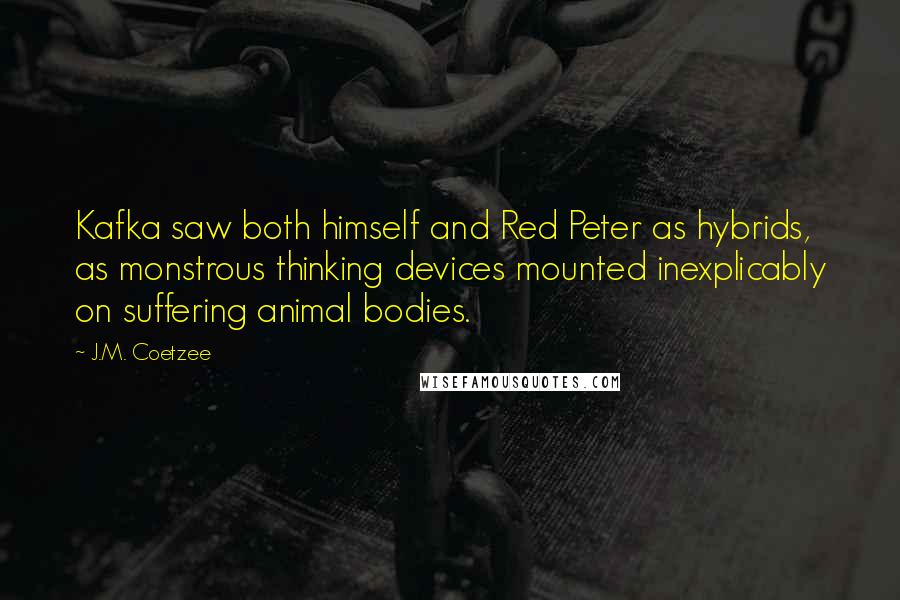 J.M. Coetzee Quotes: Kafka saw both himself and Red Peter as hybrids, as monstrous thinking devices mounted inexplicably on suffering animal bodies.