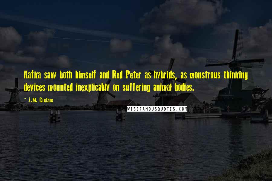 J.M. Coetzee Quotes: Kafka saw both himself and Red Peter as hybrids, as monstrous thinking devices mounted inexplicably on suffering animal bodies.