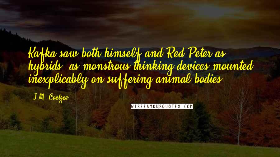 J.M. Coetzee Quotes: Kafka saw both himself and Red Peter as hybrids, as monstrous thinking devices mounted inexplicably on suffering animal bodies.
