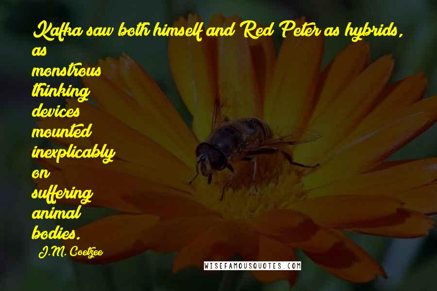 J.M. Coetzee Quotes: Kafka saw both himself and Red Peter as hybrids, as monstrous thinking devices mounted inexplicably on suffering animal bodies.