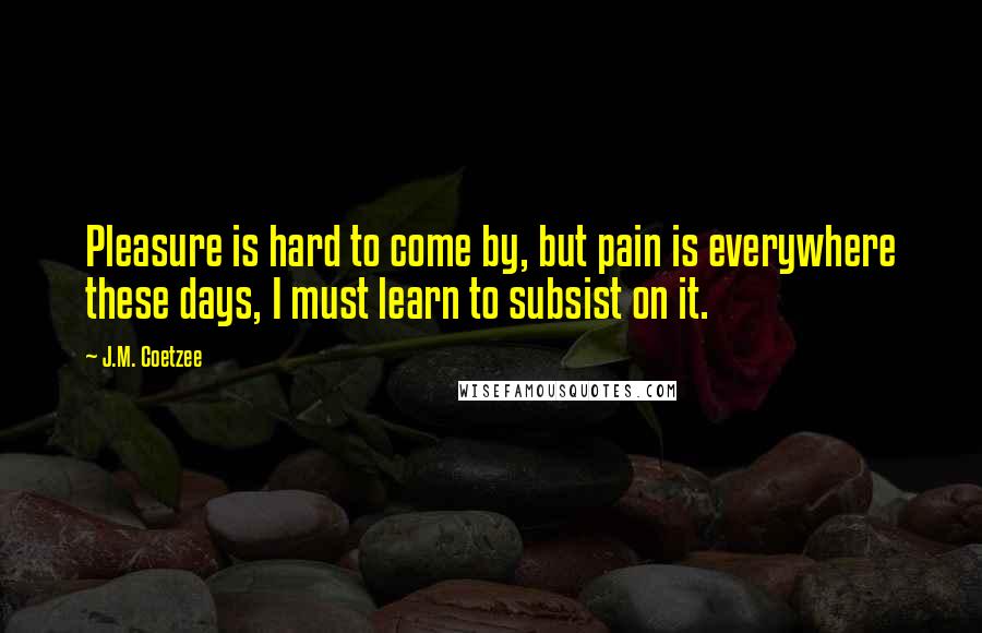 J.M. Coetzee Quotes: Pleasure is hard to come by, but pain is everywhere these days, I must learn to subsist on it.