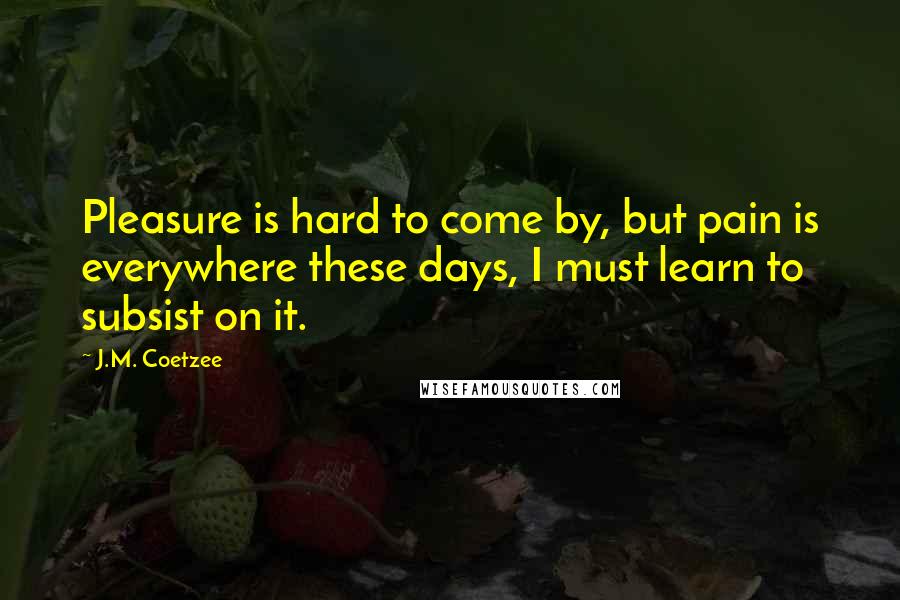 J.M. Coetzee Quotes: Pleasure is hard to come by, but pain is everywhere these days, I must learn to subsist on it.