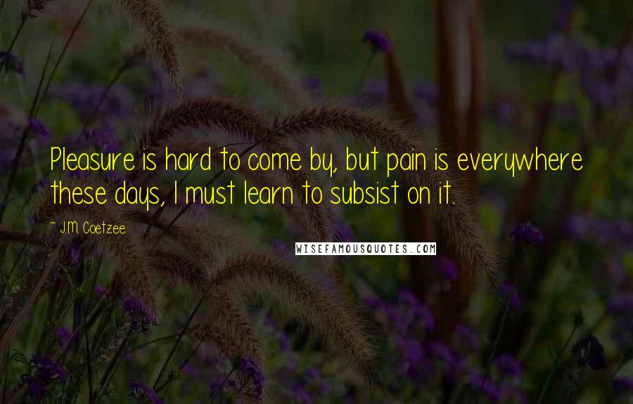 J.M. Coetzee Quotes: Pleasure is hard to come by, but pain is everywhere these days, I must learn to subsist on it.