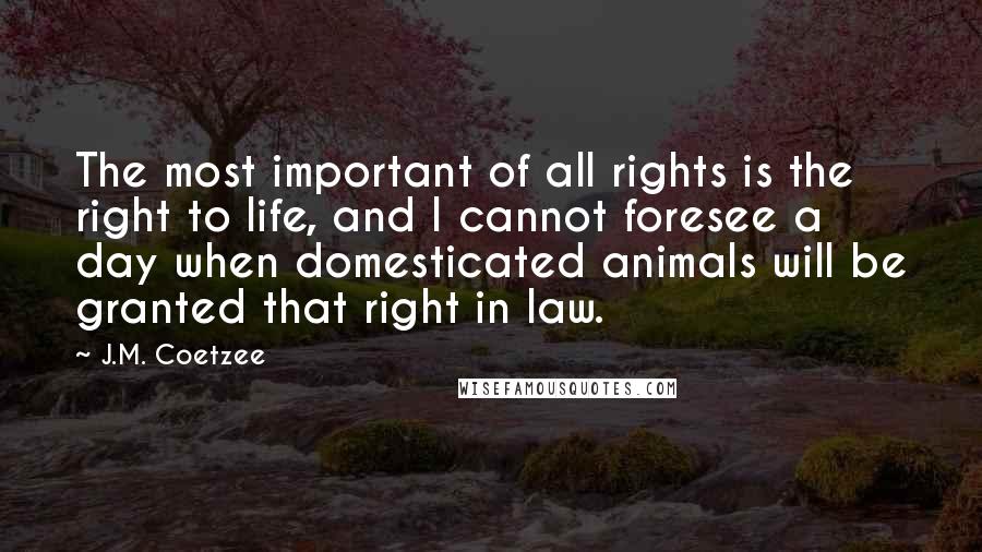 J.M. Coetzee Quotes: The most important of all rights is the right to life, and I cannot foresee a day when domesticated animals will be granted that right in law.