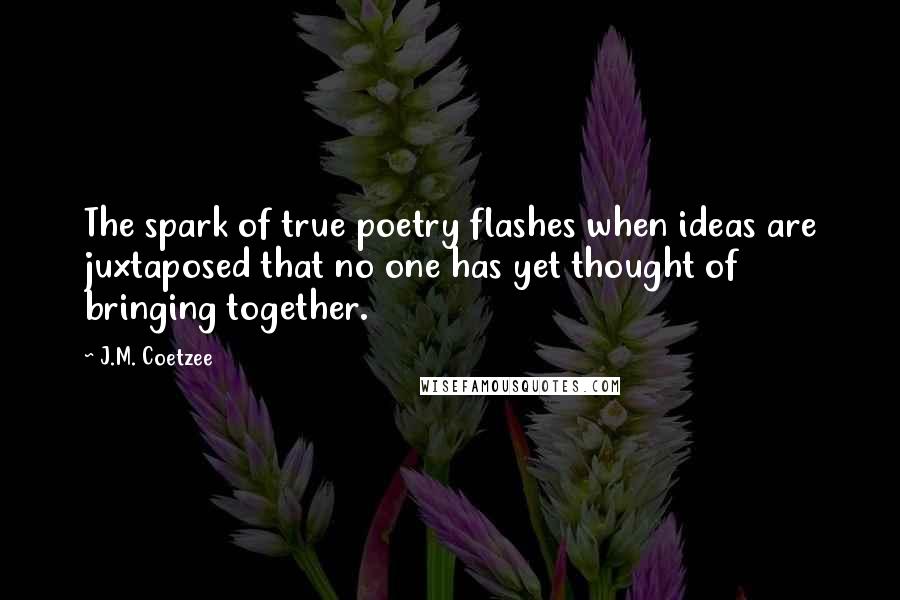 J.M. Coetzee Quotes: The spark of true poetry flashes when ideas are juxtaposed that no one has yet thought of bringing together.