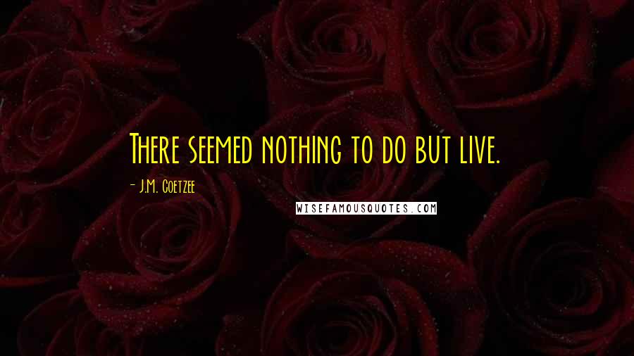 J.M. Coetzee Quotes: There seemed nothing to do but live.