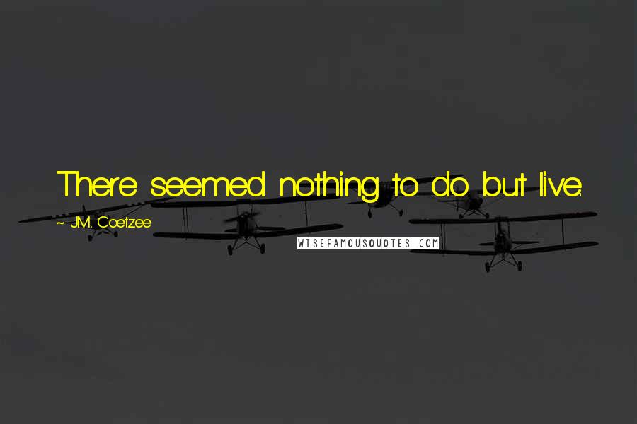 J.M. Coetzee Quotes: There seemed nothing to do but live.