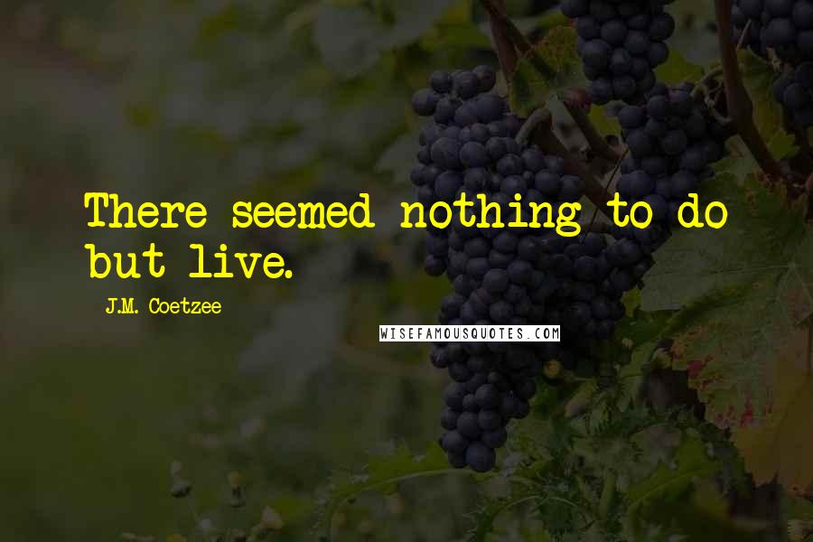J.M. Coetzee Quotes: There seemed nothing to do but live.