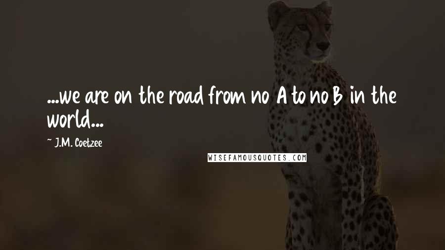 J.M. Coetzee Quotes: ...we are on the road from no A to no B in the world...