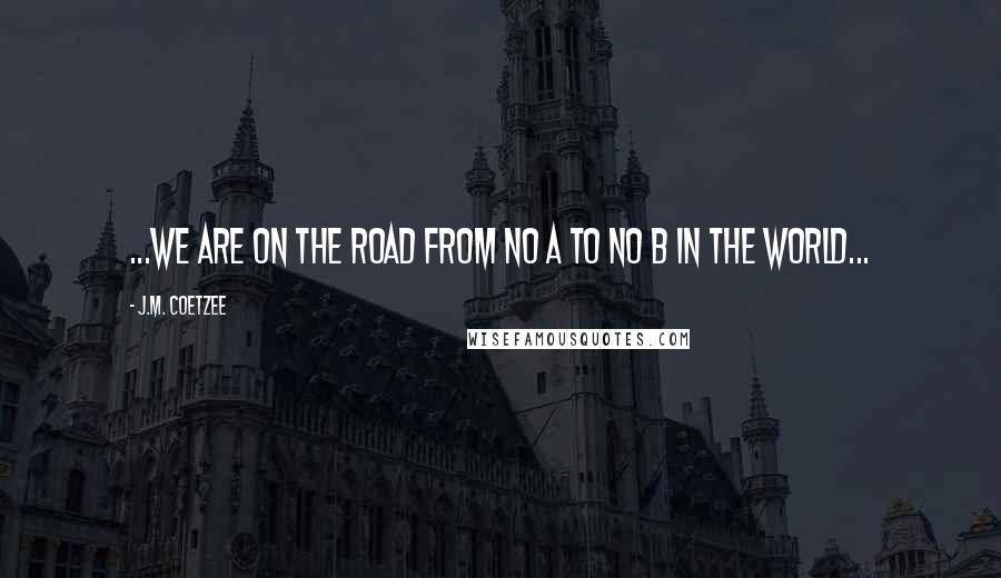 J.M. Coetzee Quotes: ...we are on the road from no A to no B in the world...