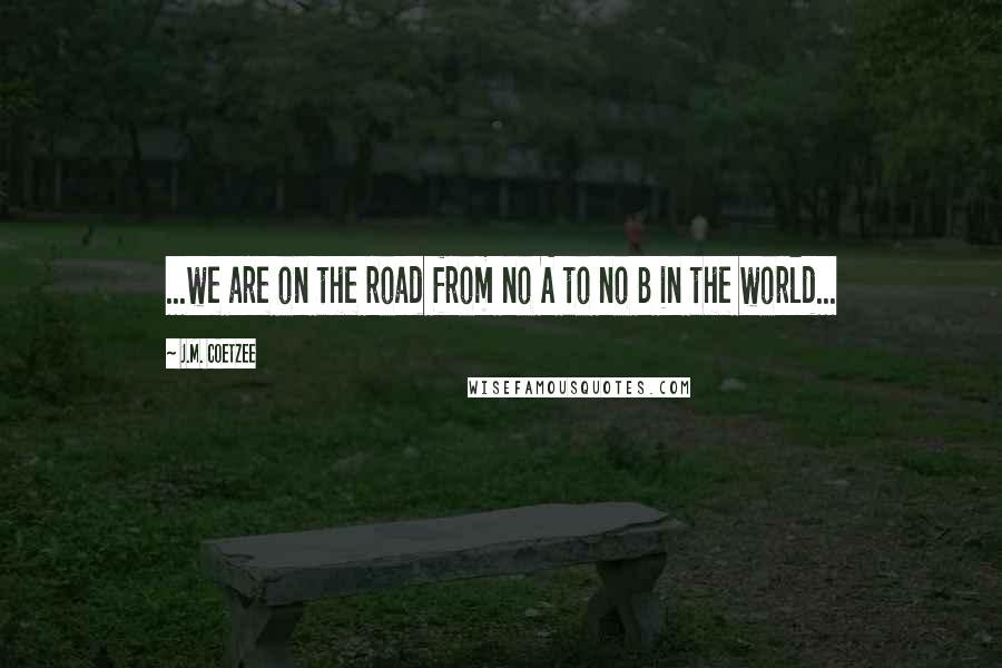 J.M. Coetzee Quotes: ...we are on the road from no A to no B in the world...