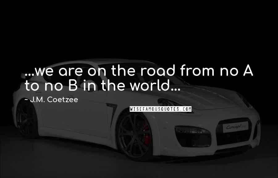 J.M. Coetzee Quotes: ...we are on the road from no A to no B in the world...