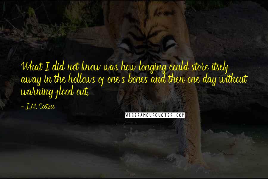 J.M. Coetzee Quotes: What I did not know was how longing could store itself away in the hollows of one's bones and then one day without warning flood out.