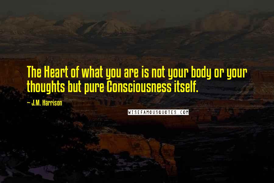 J.M. Harrison Quotes: The Heart of what you are is not your body or your thoughts but pure Consciousness itself.