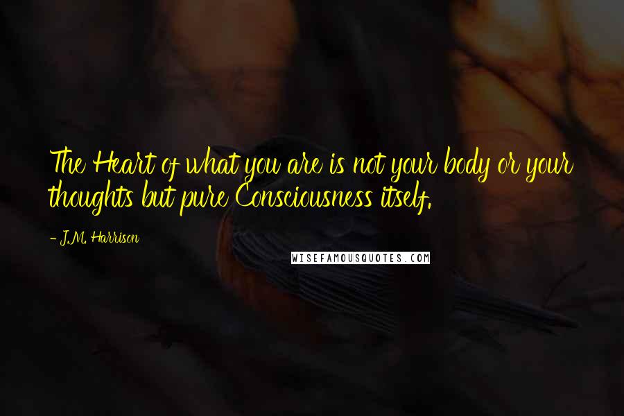 J.M. Harrison Quotes: The Heart of what you are is not your body or your thoughts but pure Consciousness itself.