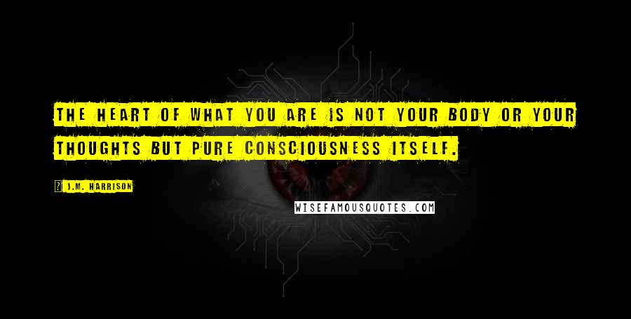 J.M. Harrison Quotes: The Heart of what you are is not your body or your thoughts but pure Consciousness itself.