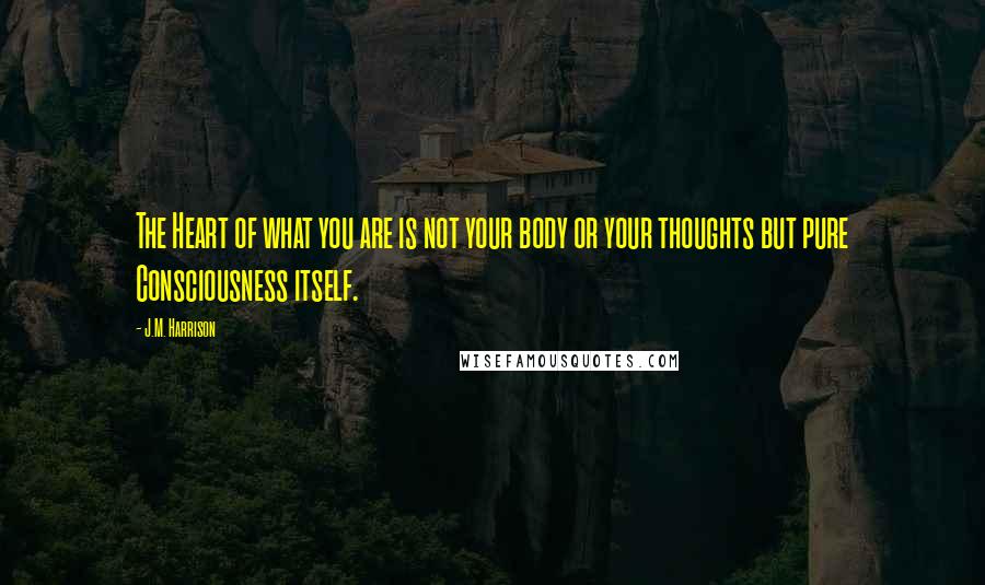 J.M. Harrison Quotes: The Heart of what you are is not your body or your thoughts but pure Consciousness itself.