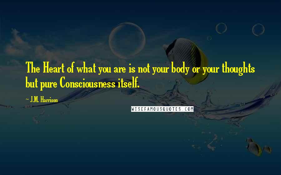 J.M. Harrison Quotes: The Heart of what you are is not your body or your thoughts but pure Consciousness itself.