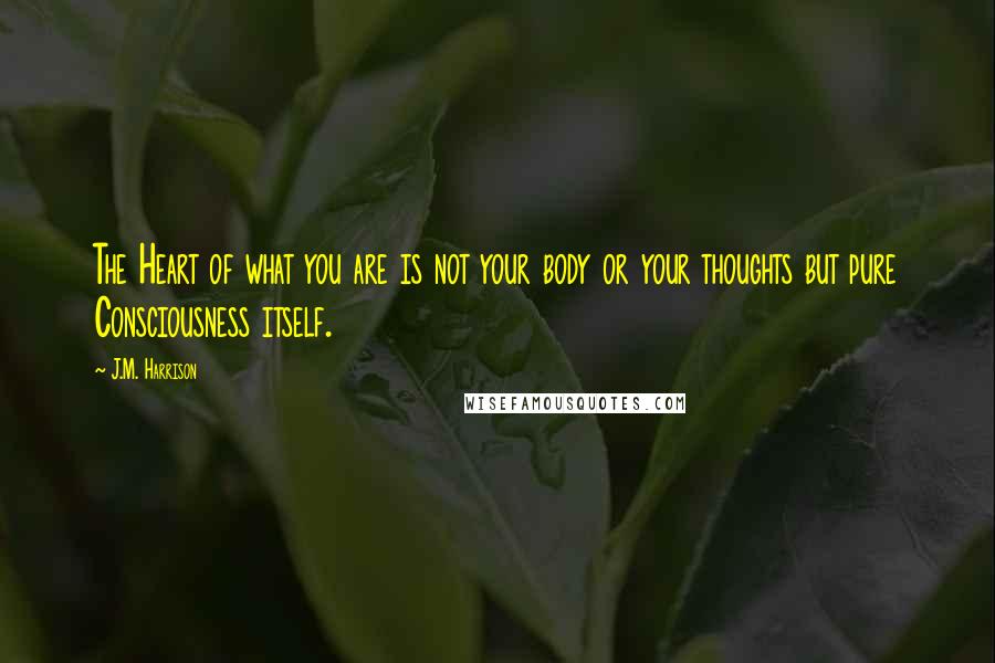 J.M. Harrison Quotes: The Heart of what you are is not your body or your thoughts but pure Consciousness itself.