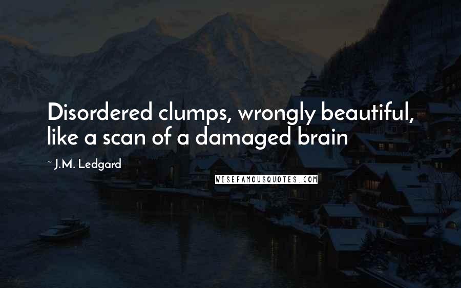 J.M. Ledgard Quotes: Disordered clumps, wrongly beautiful, like a scan of a damaged brain