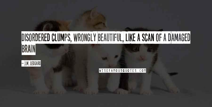 J.M. Ledgard Quotes: Disordered clumps, wrongly beautiful, like a scan of a damaged brain